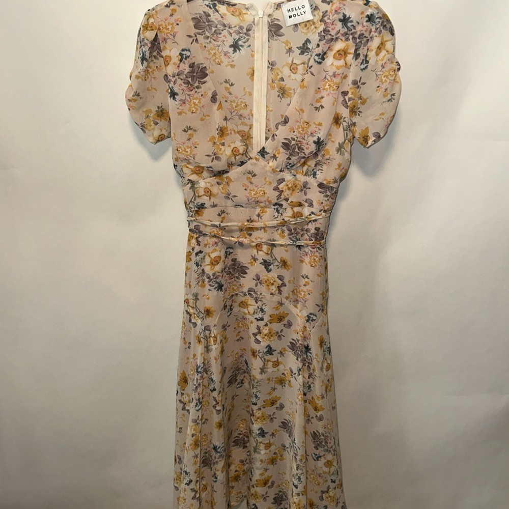 Hello Molly Fit and Flare Fairy Dress Sweetheart Neck Short Sleeves Size 4